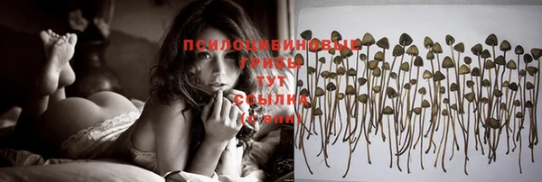 мяу мяу мука Баксан