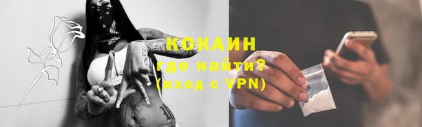 мяу мяу мука Баксан