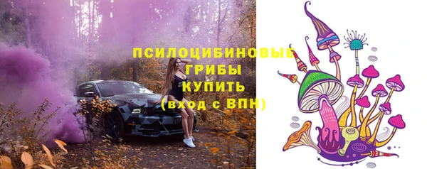 мяу мяу мука Баксан