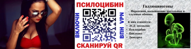 Галлюциногенные грибы Psilocybe  Соль-Илецк 